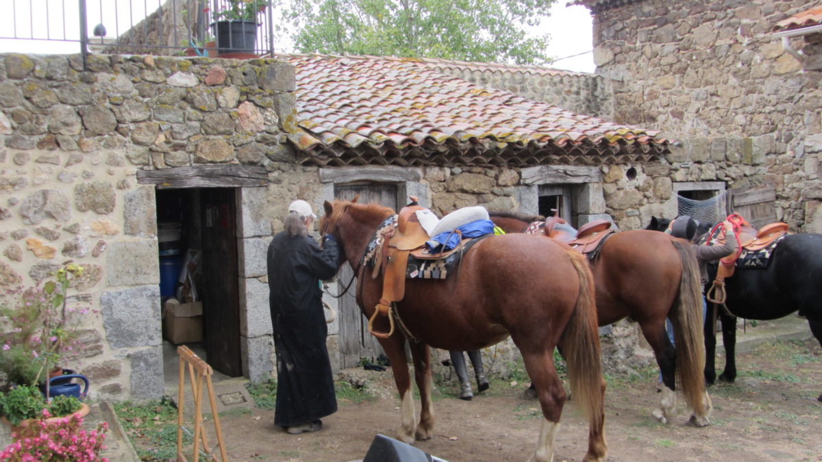 Les pensées du chef :)